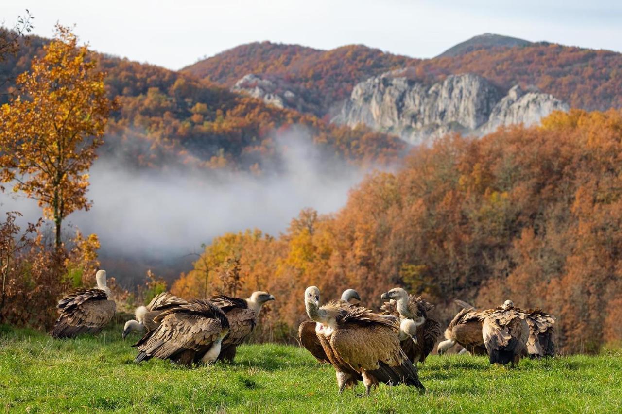 Hotel Rural El Sabinar Cremenes ภายนอก รูปภาพ